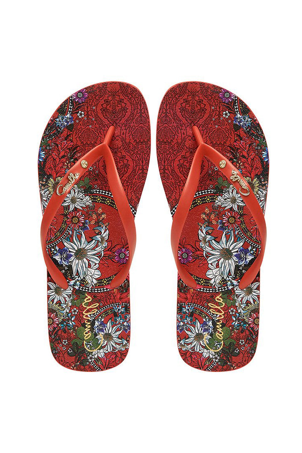 THONG WONDERING WARATAH