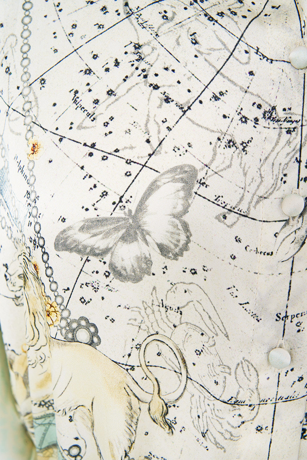 COLLARED BUTTON THROUGH DRESS MY LUCKY STARS