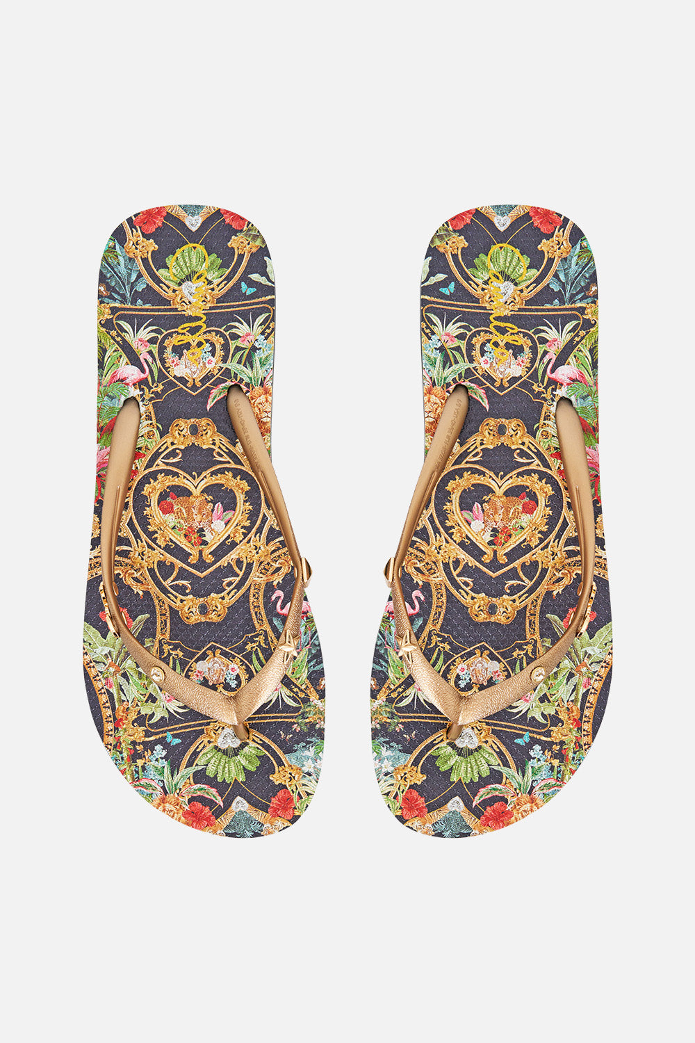 THONGS PALACE ZOOLOGY