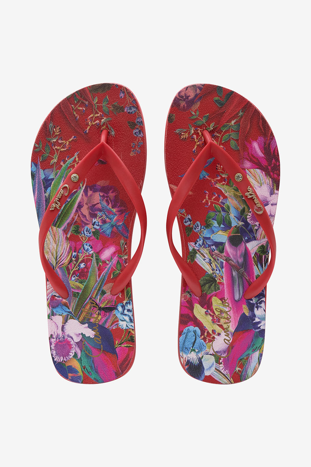 THONGS BIRDS OF A FEATHER